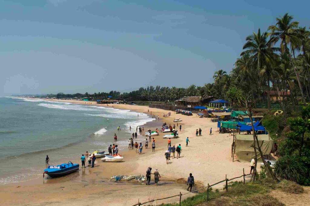 Candolim Beach 