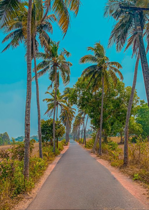 Top 8 Places to Visit In North Goa and Best Things to Do for an Unforgettable Experience