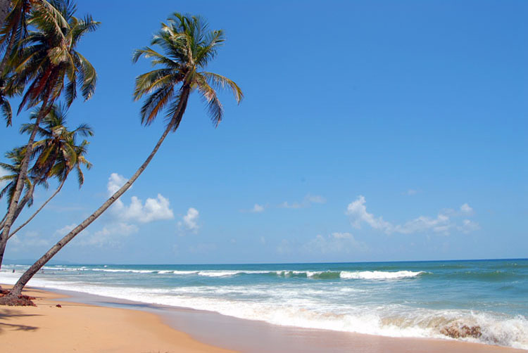 Amazing 10 Places to Visit In South Goa- Destinations for Every Traveler