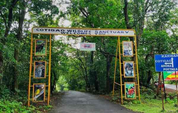 Cotigao Wildlife Sanctuary