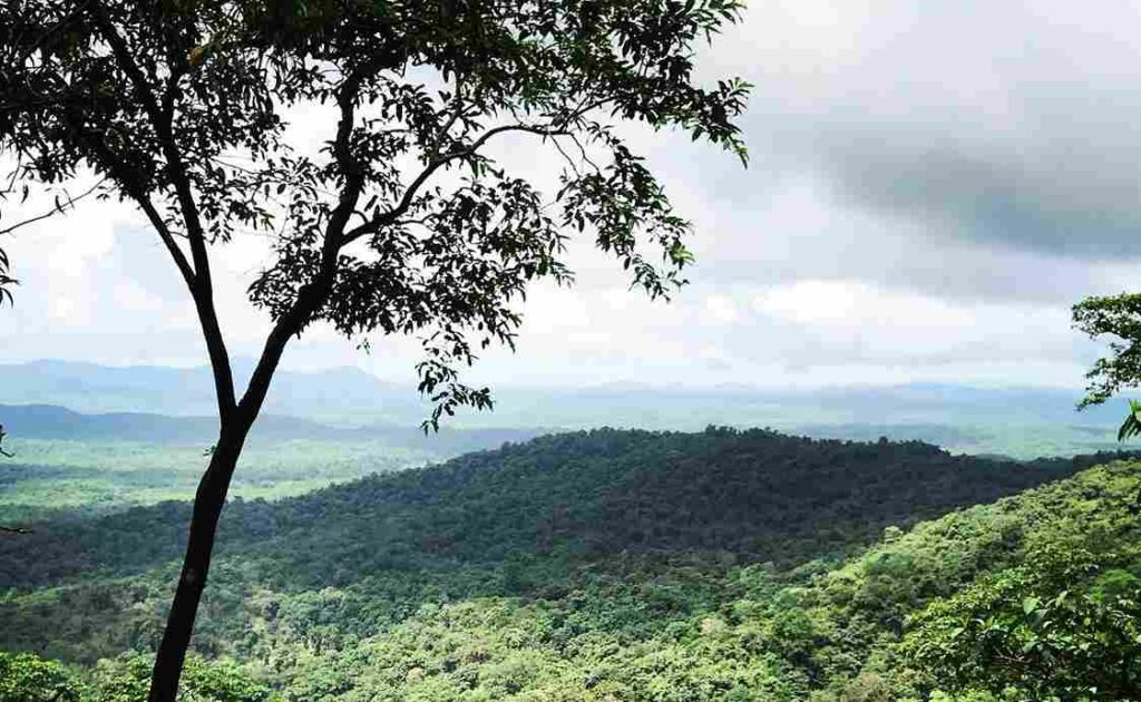 Cotigao Wildlife Sanctuary