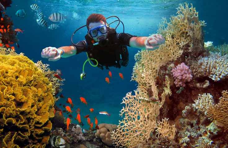 Scuba diving- Snorkeling and Scuba Diving in Goa