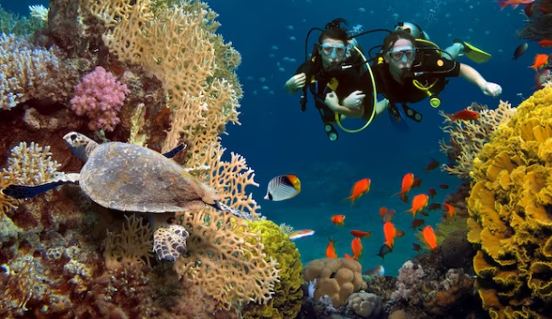 Snorkeling and Scuba Diving in Goa: Uncover the Underwater Wonders