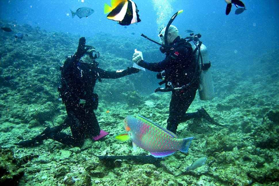 Scuba diving in Goa