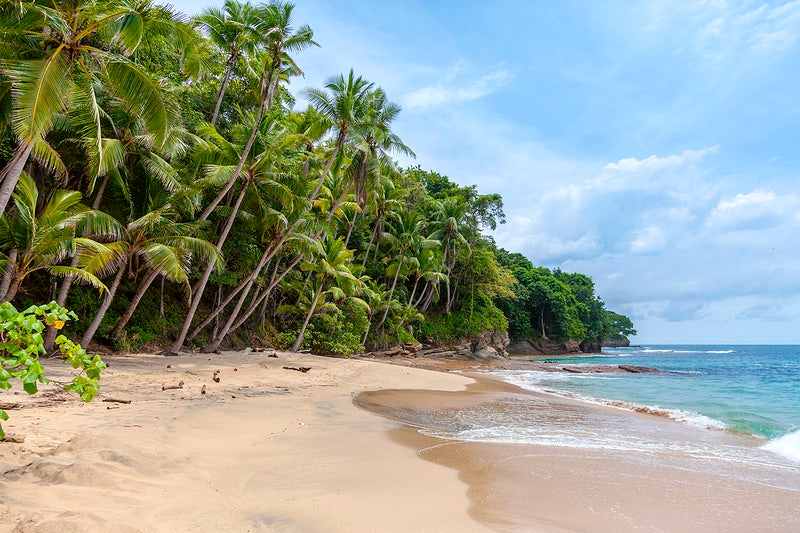 Discover the top 20 Beaches of South Goa: A Guide to Secluded Escapes