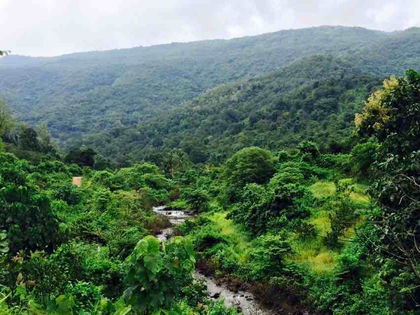 Charavane Waterfall Trek: