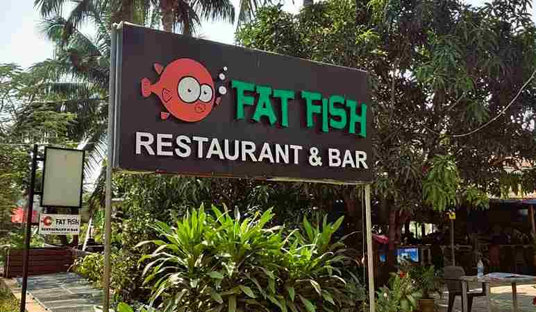 Fat Fish- Baga