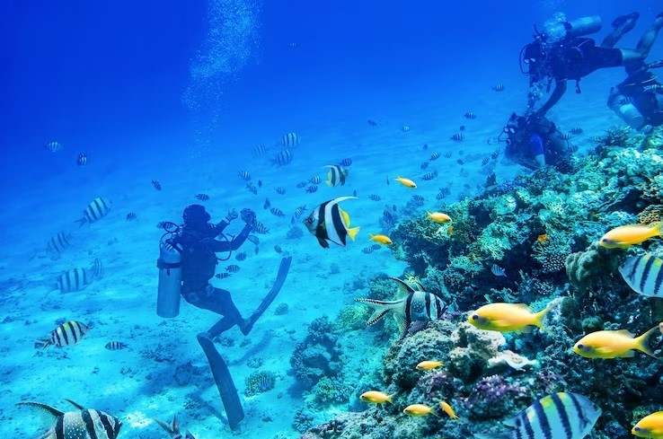 Scuba Diving & Snorkeling in Goa